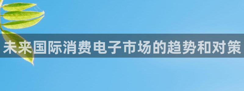 凯发网娱乐官网登录|未来国际消费电子市场